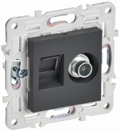 SKANDY Розетка двойная TV+RJ45 кат.6 SK-A15T титан , SK-AK20-2-K48