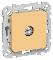 FLITE Розетка TV экранированная проходная тип M РТВм-1-1-2-ФлЗ золотарник IEK, FI-A13-P-K90